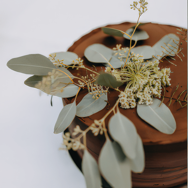 gastro1-topaz-standard v2-2x-min